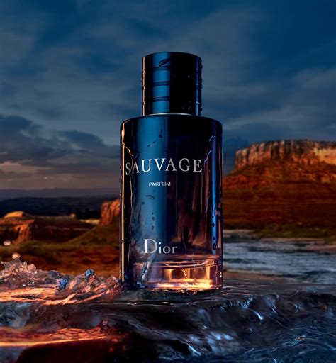 empik dior sauvage|sauvage dior cologne reviews.